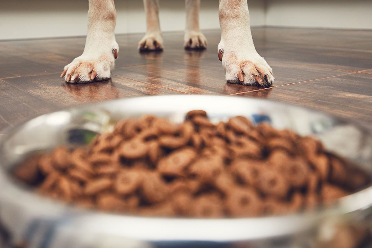 Pet food - Market sectors - Poly-Pro Packaging - Packaging solutions provider Canadian market